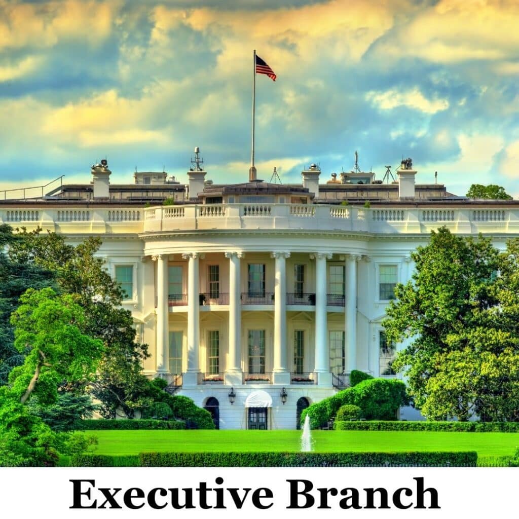 Executive Branch
