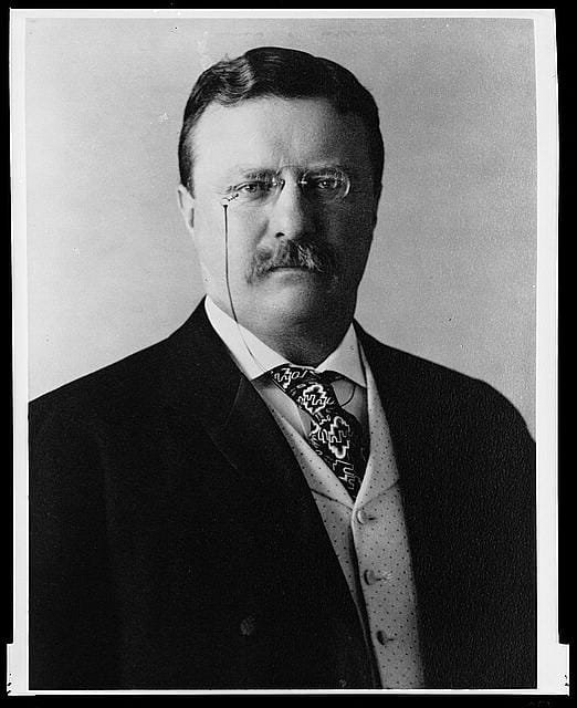 Theodore Roosevelt