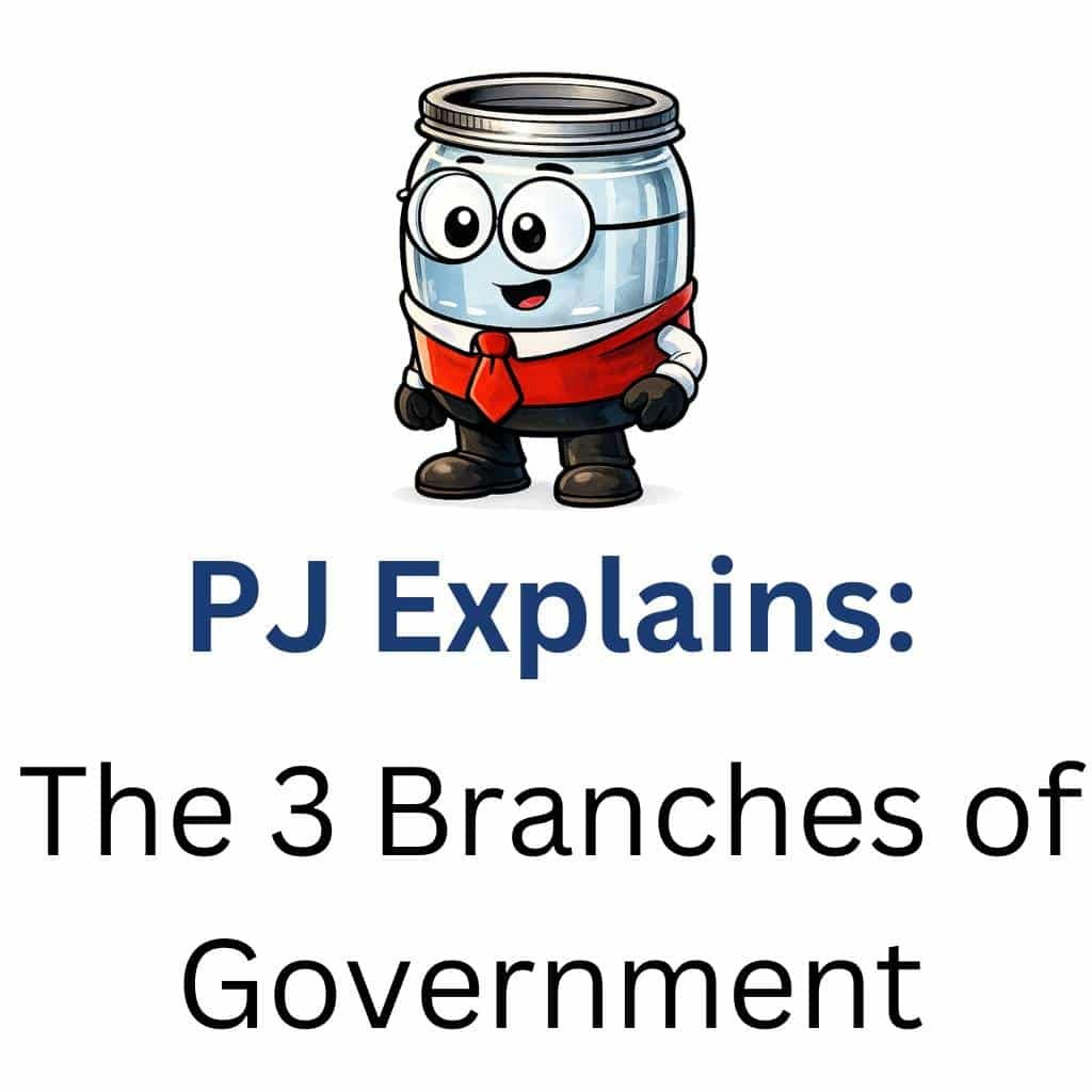 The 3 Branches of Government The 3 Branches of Government